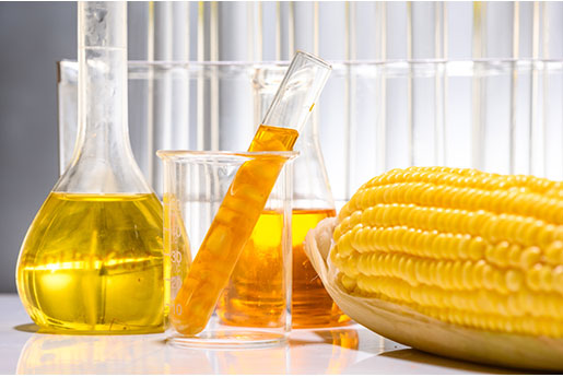 why bioheat